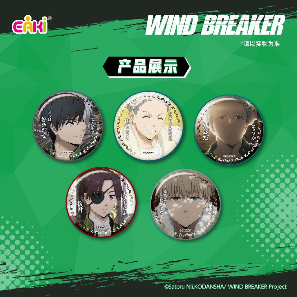 FFHZ-M201防风铃-风铃物语食玩徽章-第二弹