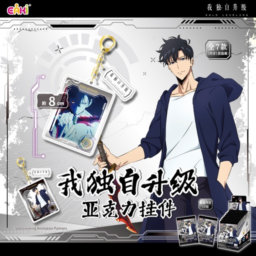 SJGJ-M101我独自升级亚克力挂件